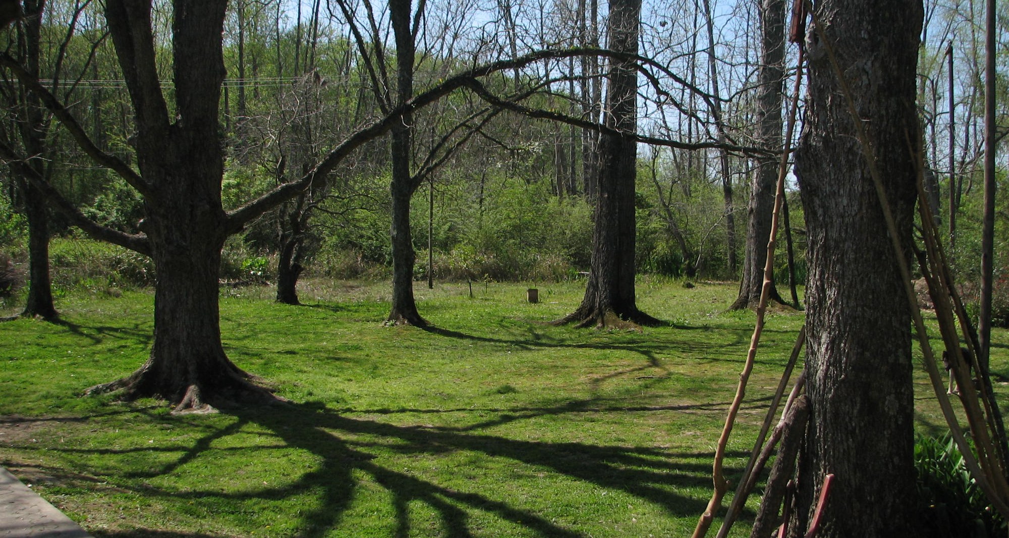 jardin de casona del rio, parque en el delta del tigre